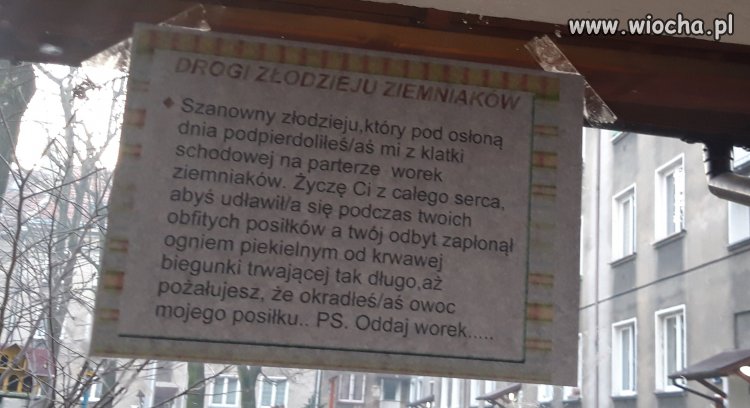 Złodziej ziemniaków 