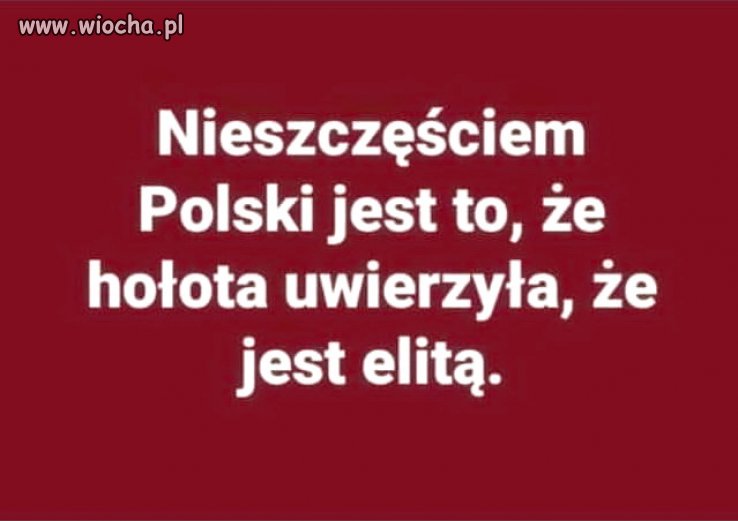 Nic dodać, nic ująć