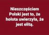 Nic dodać, nic ująć