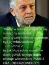 Gdyby głupota miała skrzydła