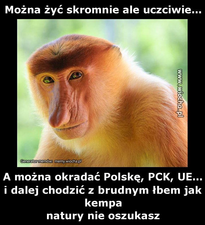 Można żyć skromnie ale uczciwie...