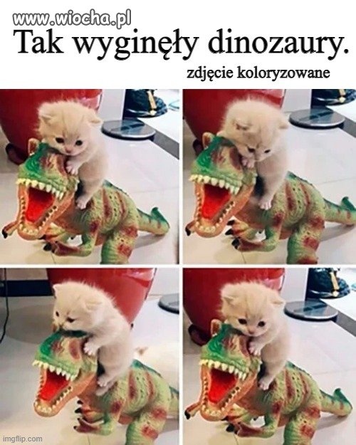 Tak było.
