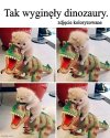 Tak było.