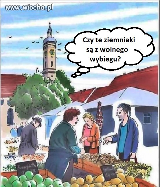 Czy te ziemniaki są