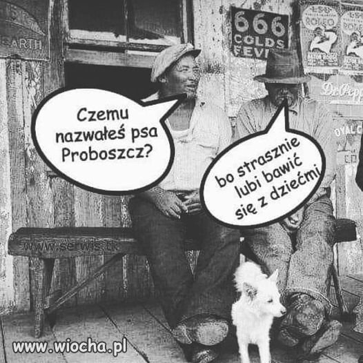 Wspina się na nogę i zaczyna ru***ć