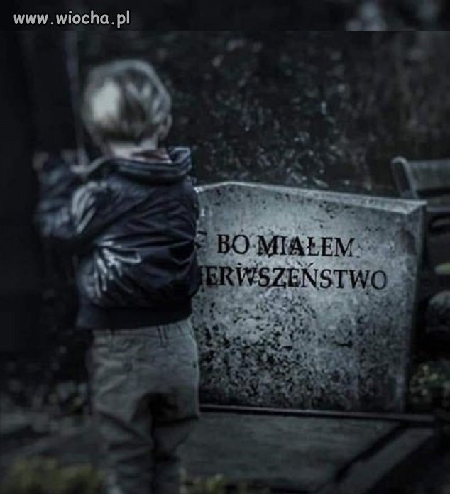 Piesi mają 