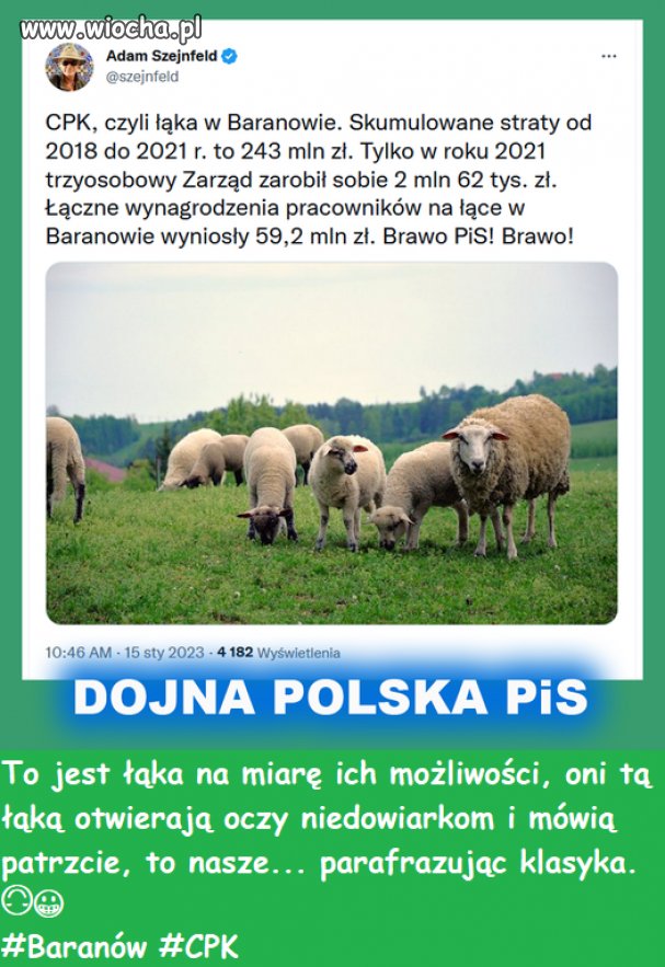 Sukces na miarę pisonów