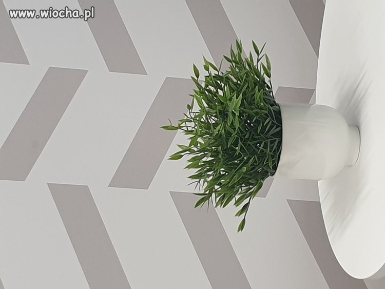 Gdyby wywłaszczenia pod CPK były uczciwe 
