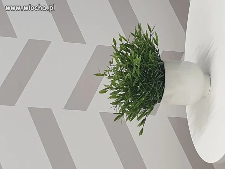 Gdyby wywłaszczenia pod CPK były uczciwe 