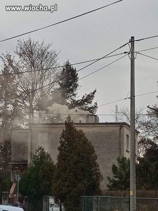 Czym Oni tam palą na tym Żoliborzu