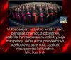 Kapłaństwo staje się zawodem gejowskim...