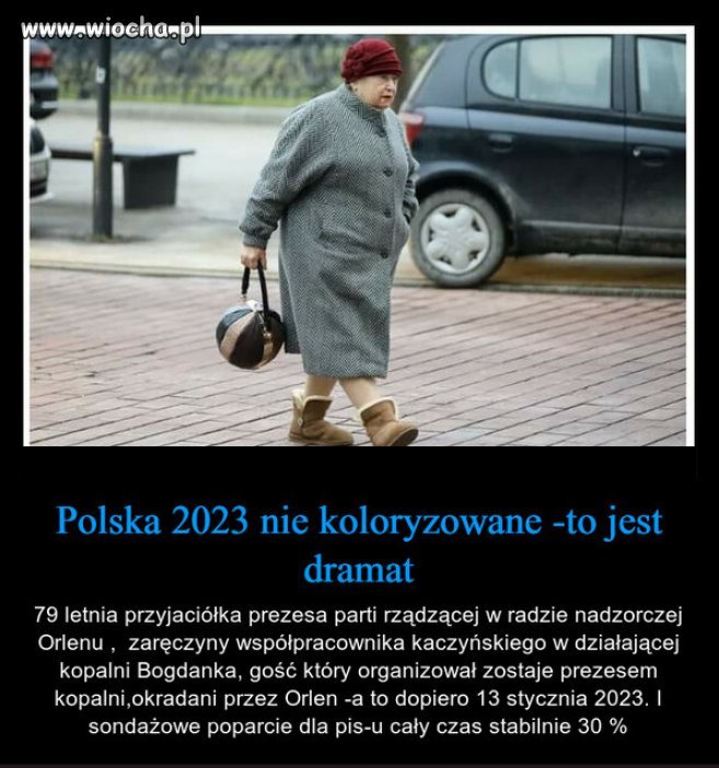 Tak wyglądają ELYTY Pisowskie.