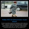 Tak wyglądają ELYTY Pisowskie.