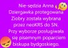 Dobra zmiana teraz listy poparcia