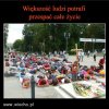 Mieli wstawać z kolan a padli na pysk...