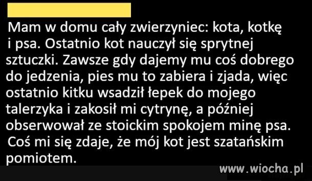 Szatański pomiot