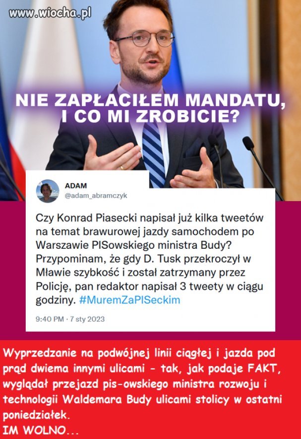 Pisowska święta krowa