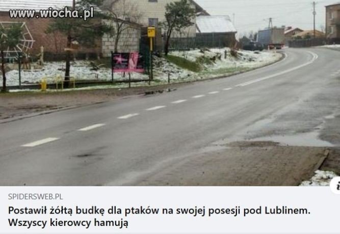 Sposób na piratów drogowych