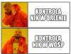 Wyborca PIS potwierdzi