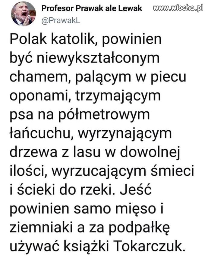 Typowy współczesny faszol naziol