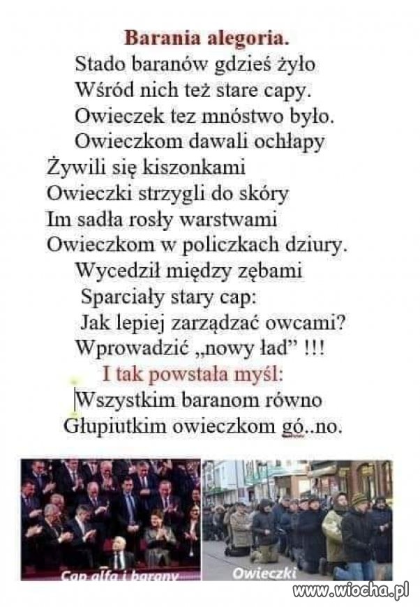Wierszyk na dziś