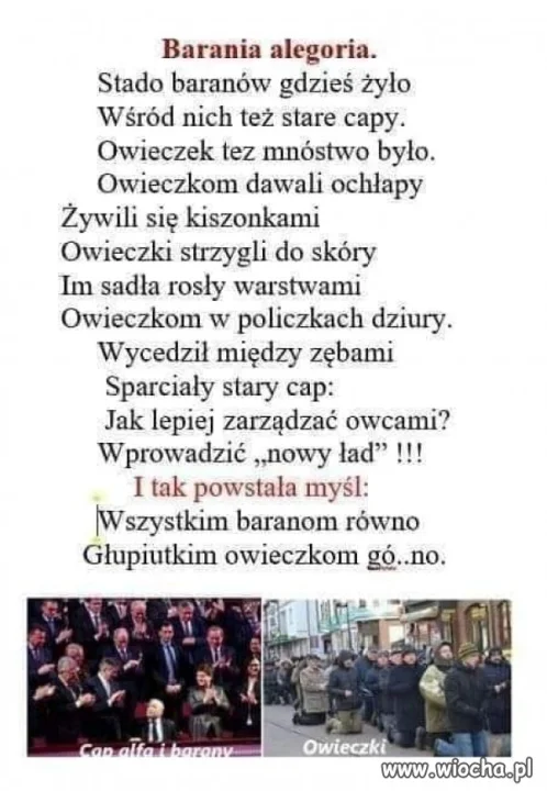 Wierszyk na dziś