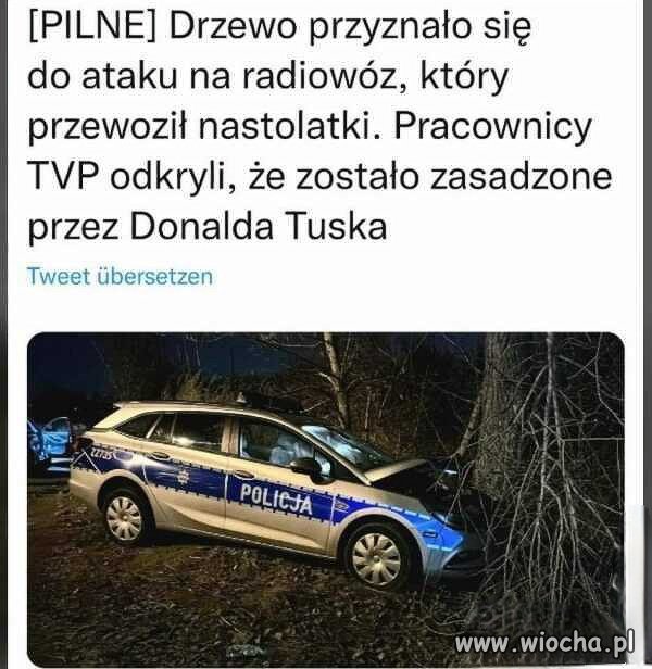 Wersja dla PiSdebili 