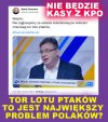 Teraz wiem już wszystko