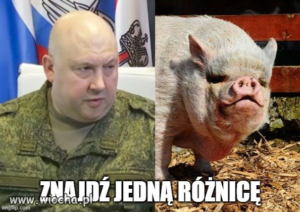 Wieprze