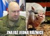 Wieprze