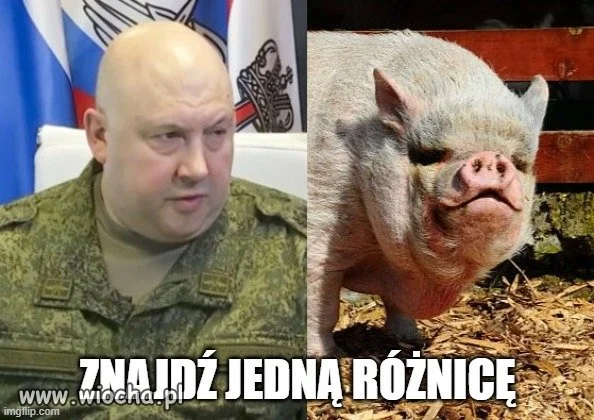 Wieprze
