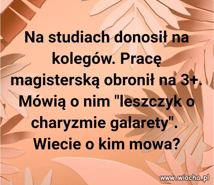 Trzy czwarte z rządzących pasują do opisu!