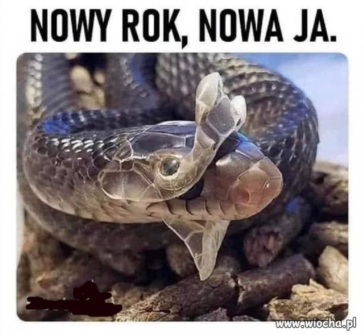 Noworoczne postanowienia
