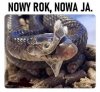 Noworoczne postanowienia