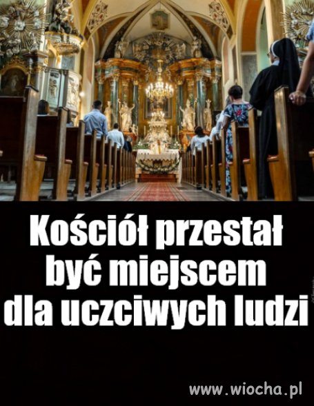 Skalali własne gniazdo