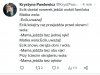 Czym się zajmuje sędzina T.K.