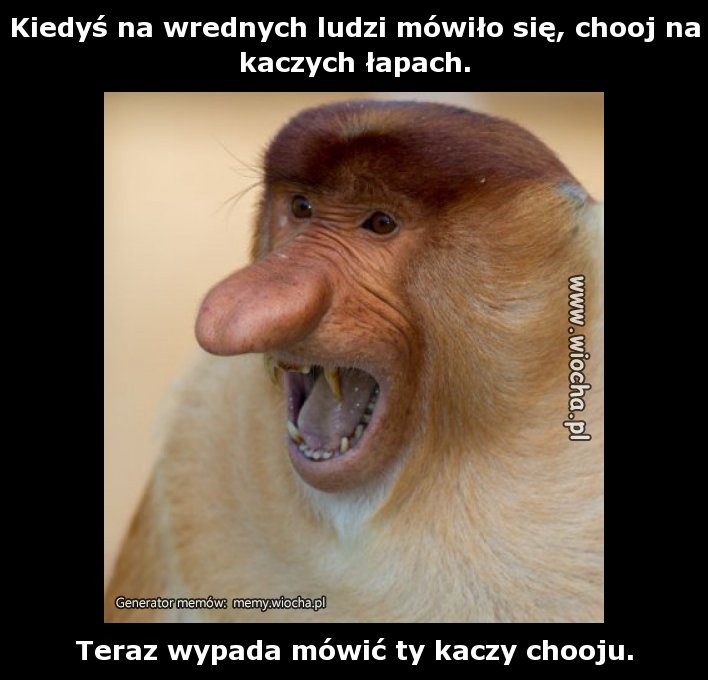 Kiedyś na wrednych ludzi mówiło się, chooj na