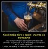 Wychodzi na prostą