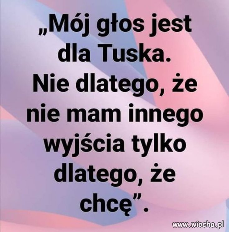 Zagłosuję, bo chce