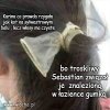 Rycerski mężczyzna wie, jak trzeba