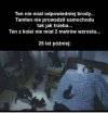 Mnie trzeba zdobywać