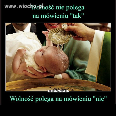 Polskie owieczki i barany, zapamietajcie!!!