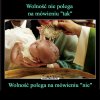 Polskie owieczki i barany, zapamietajcie!!!