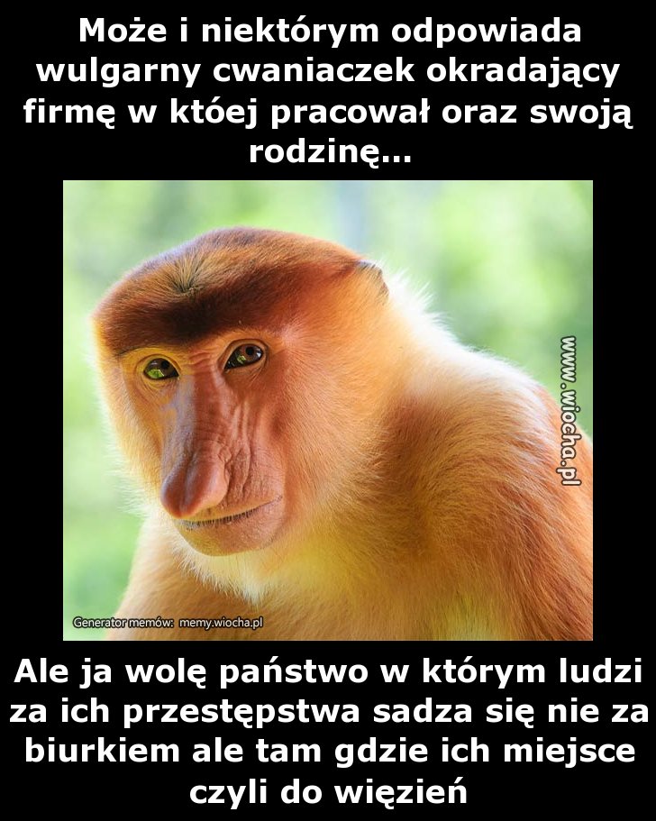 Może i niektórym odpowiada wulgarny cwaniaczek