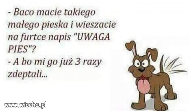 Ale hałas robi