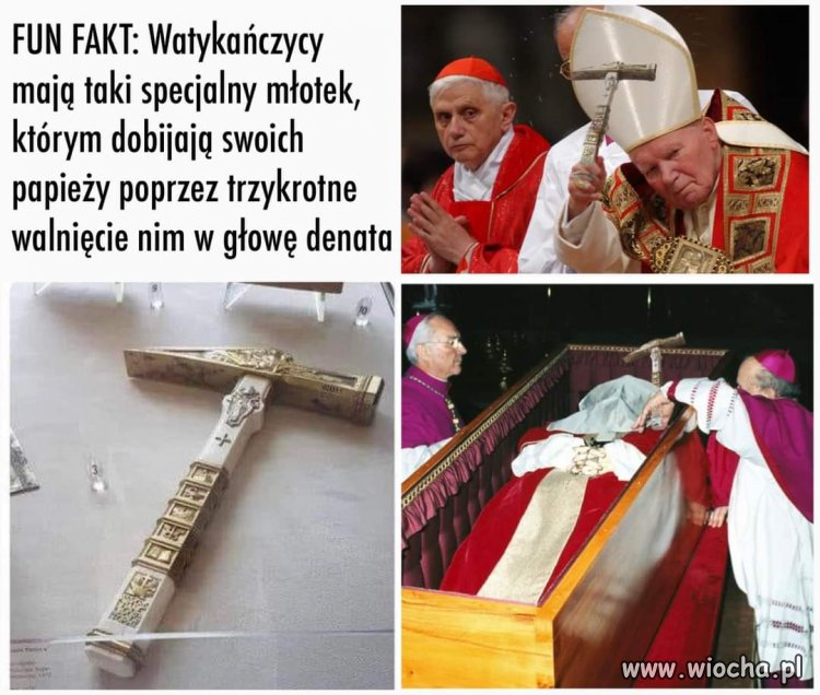 Obce kultury