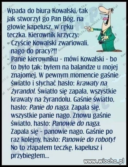 Pracuś