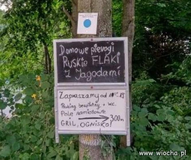 Interpunkcja jest cholernie ważna