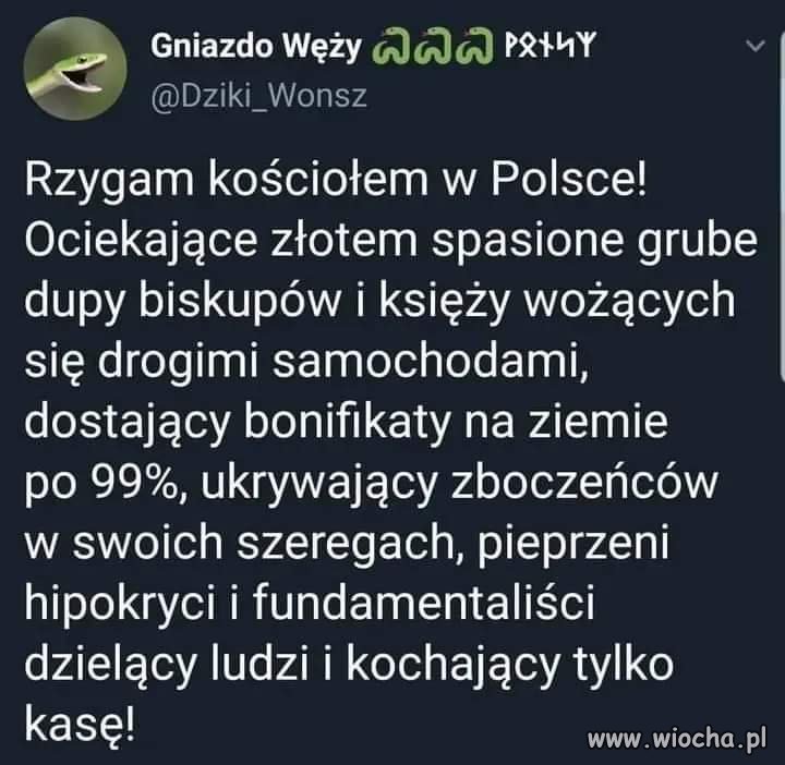Też rzygam 