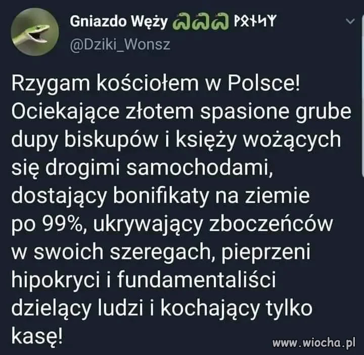 Też rzygam 